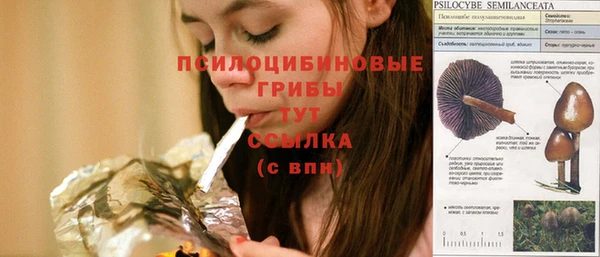 ECSTASY Лиски