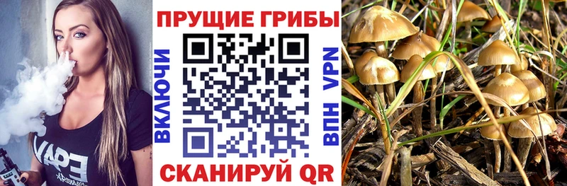 Галлюциногенные грибы Magic Shrooms  Печора 